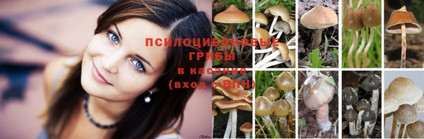 2c-b Михайлов