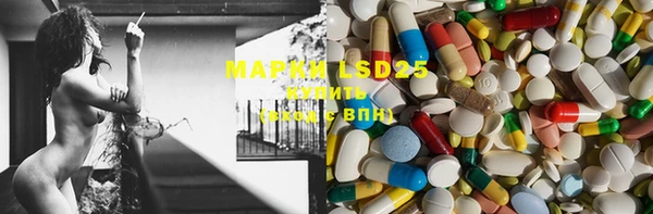 PSILOCYBIN Медногорск