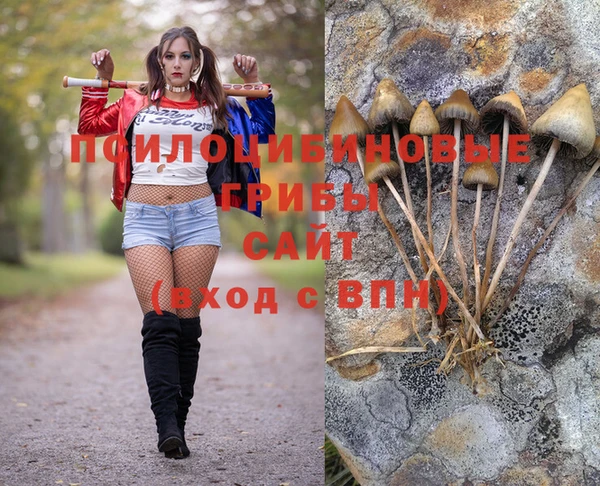 твердый Михайловск