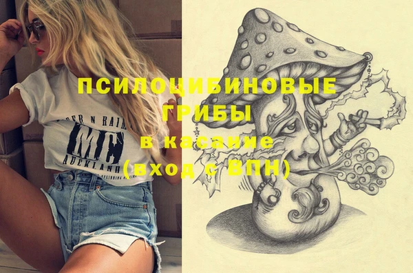 PSILOCYBIN Медногорск