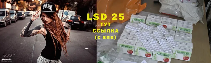 Лсд 25 экстази ecstasy  магазин продажи   Шагонар 