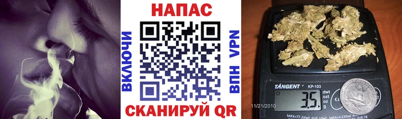 купить наркотики сайты  Шагонар  MEGA ссылки  Конопля VHQ 